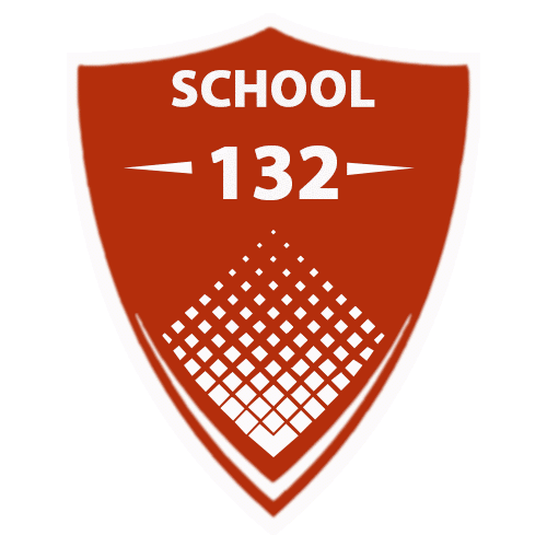 სკოლა #132