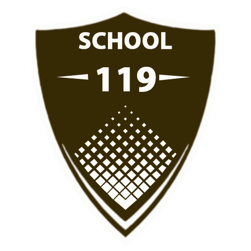 სკოლა #119