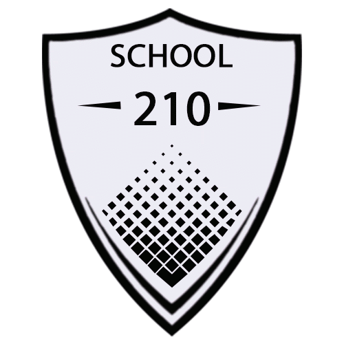 სკოლა #210