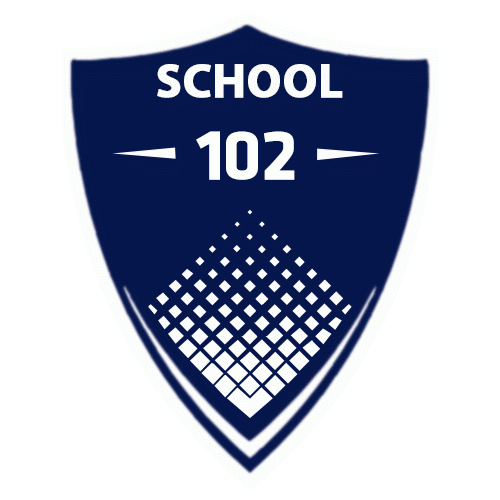სკოლა #102